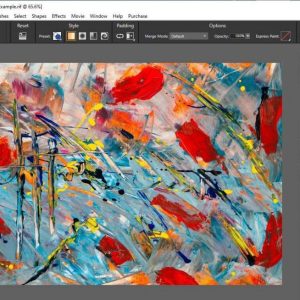 Софтуер Painter 2022 License (Single User) - Image 2