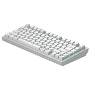 Геймърскa безжична клавиатура Dark Project ALU81A Terra Nova White RGB - Image 3