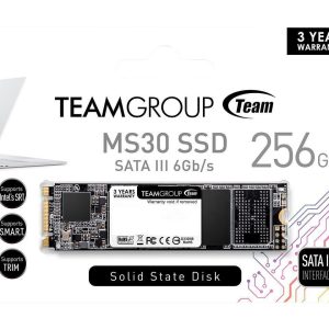 SSD Team Group MS30 M.2 2280 256GB SATA III - Image 2