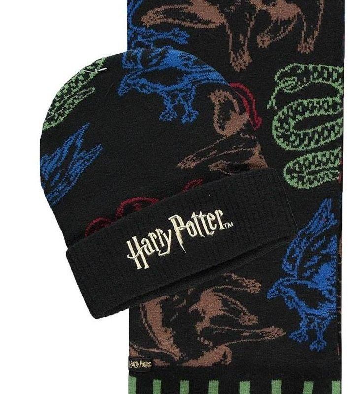Комплект шал и шапка DIFUZED Harry Potter, Черен