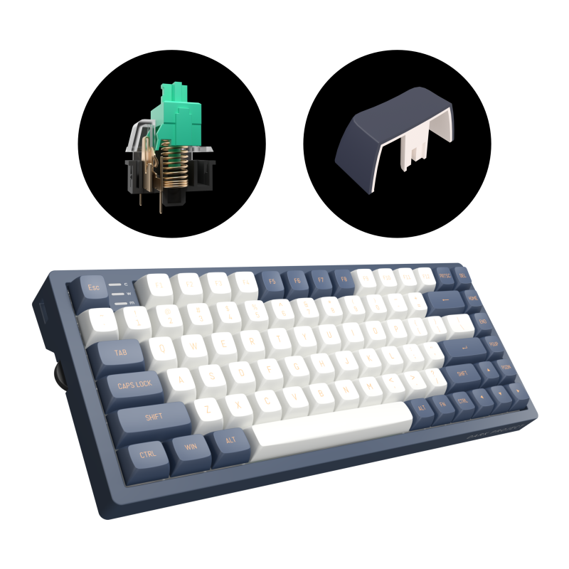 Геймърскa механична клавиатура Dark Project KD83A Ivory/Navy Blue RGB 75% - G3MS Sapphire Switches, PBT - Image 4