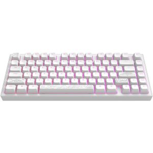 Геймърскa механична клавиатура Dark Project ALU81A Terra Nostra White RGB - Image 2