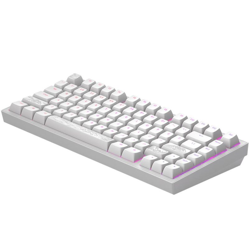 Геймърскa механична клавиатура Dark Project ALU81A Terra Nostra White RGB - Image 3