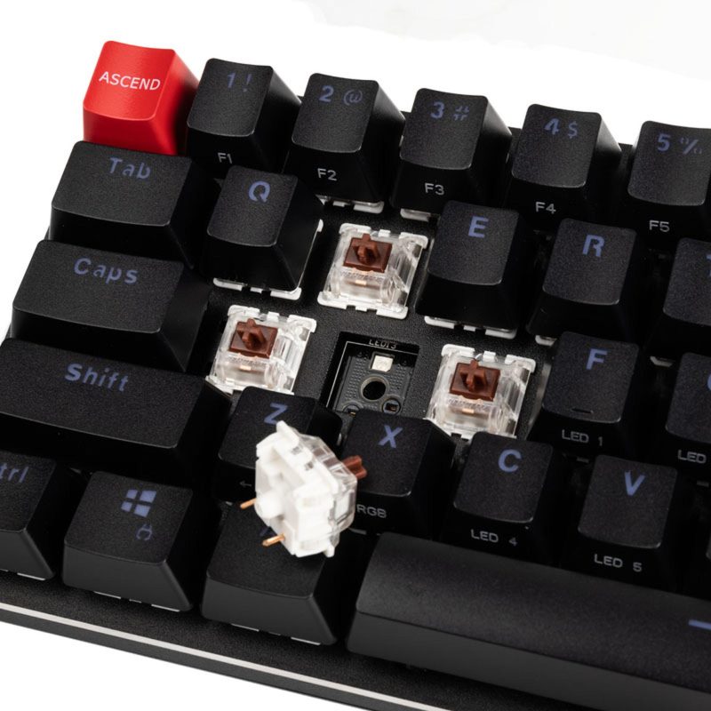 Геймърска механична клавиатура Glorious GMMK Black Compact - Gateron Brown Switches,  US-Layout - Image 6