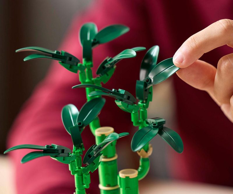 LEGO Botanicals - Lucky Bamboo, 10344 - Image 6