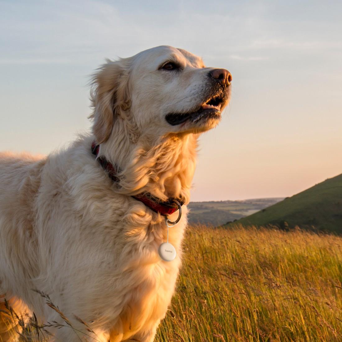 HAMA Тракер за Android „Find My Device“, с приложение, Bluetooth, бял - Image 10